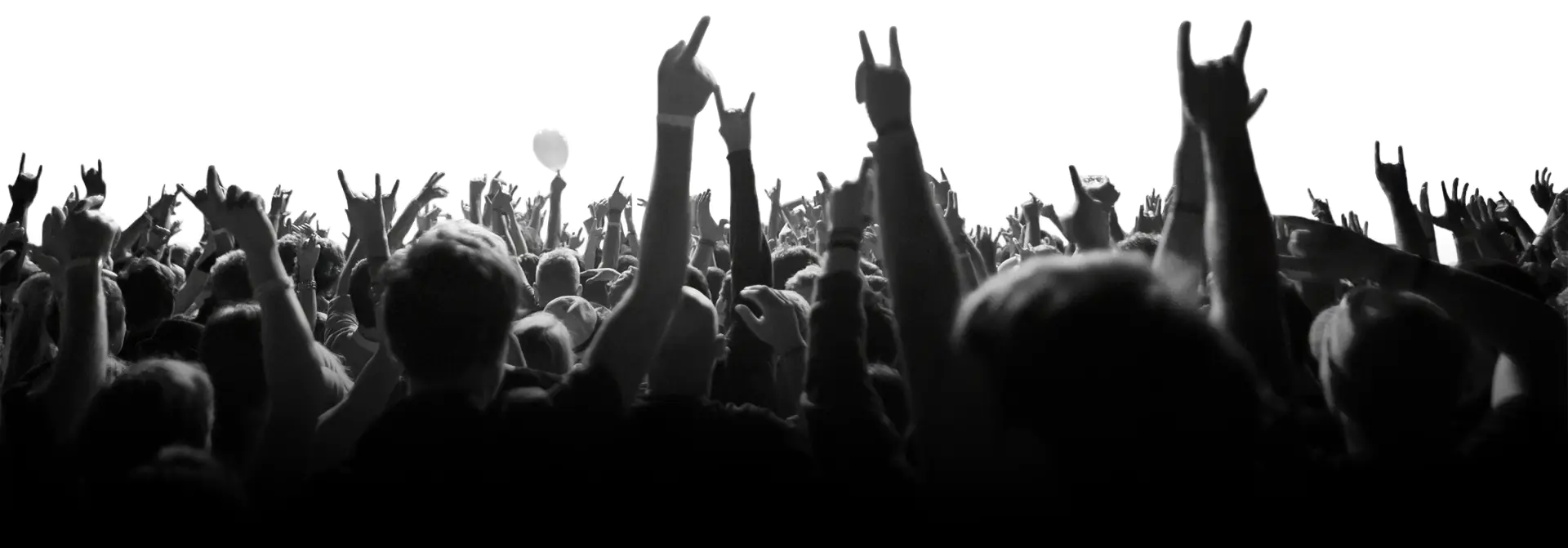 Image of a crowd at a concert